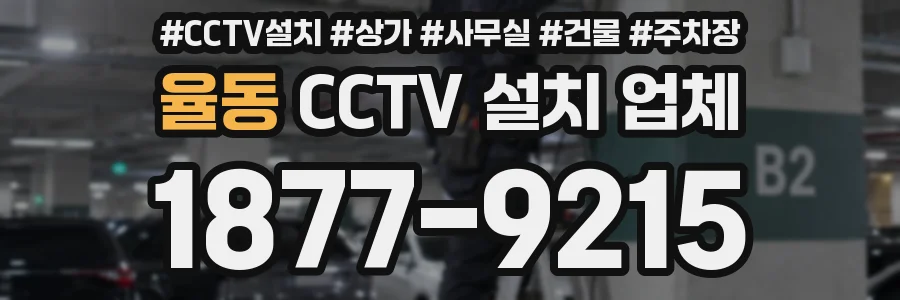 율동 CCTV 설치 업체