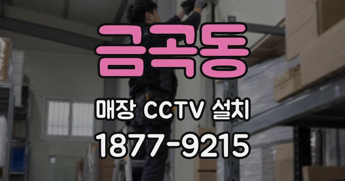 금곡동 매장 CCTV 설치