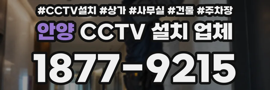 안양 CCTV 설치 업체