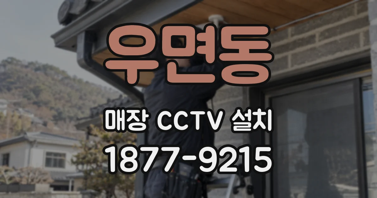 우면동 매장 CCTV 설치