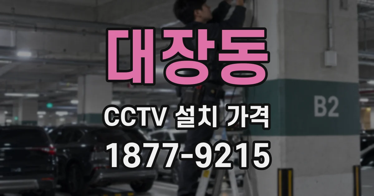 대장동 CCTV 설치 가격