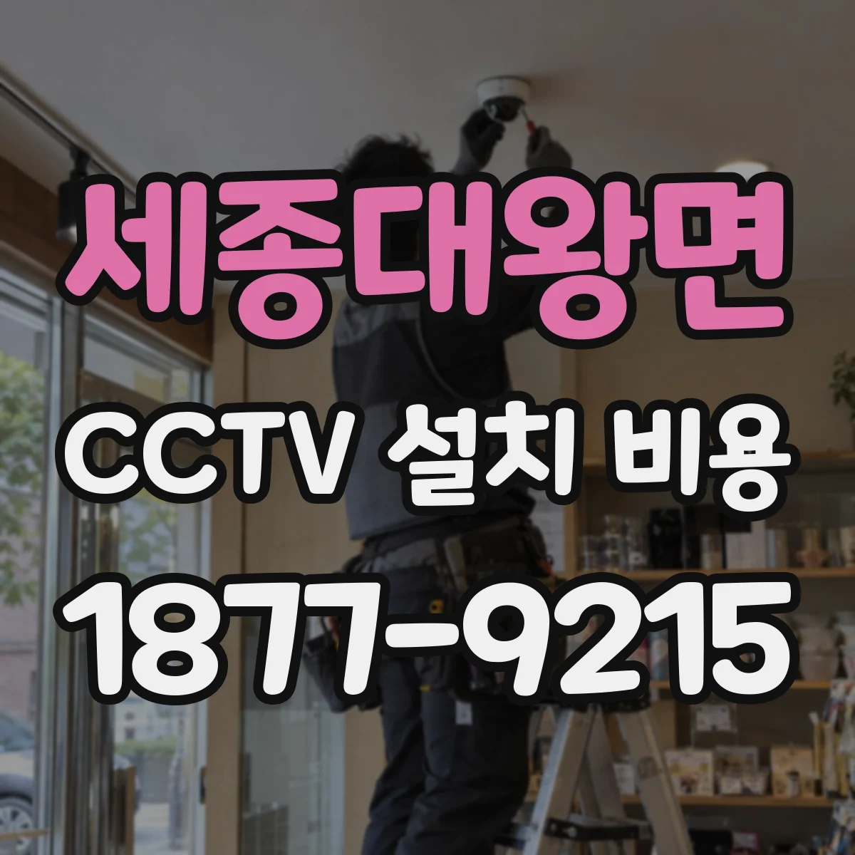 세종대왕면 CCTV 설치 비용