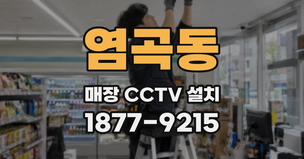 염곡동 매장 CCTV 설치
