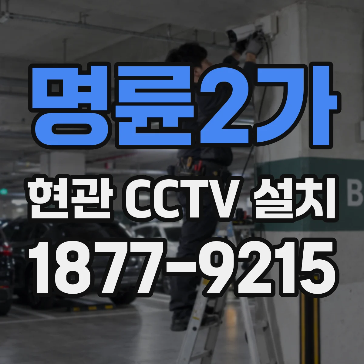 명륜2가 현관 CCTV 설치