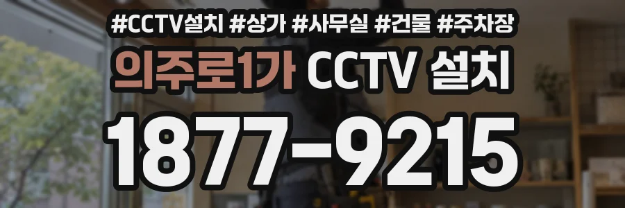 의주로1가 CCTV 설치