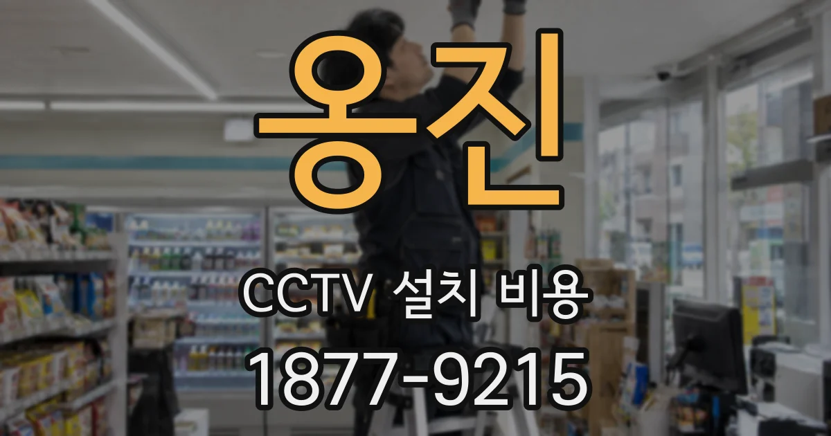 옹진 CCTV 설치 비용