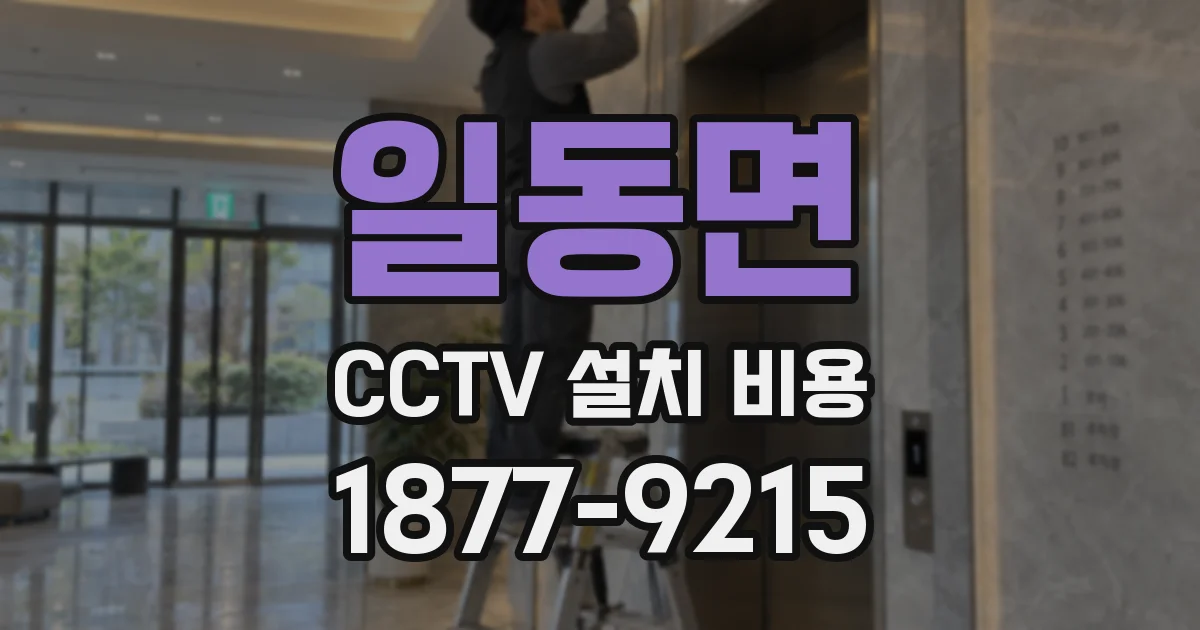 일동면 CCTV 설치 비용