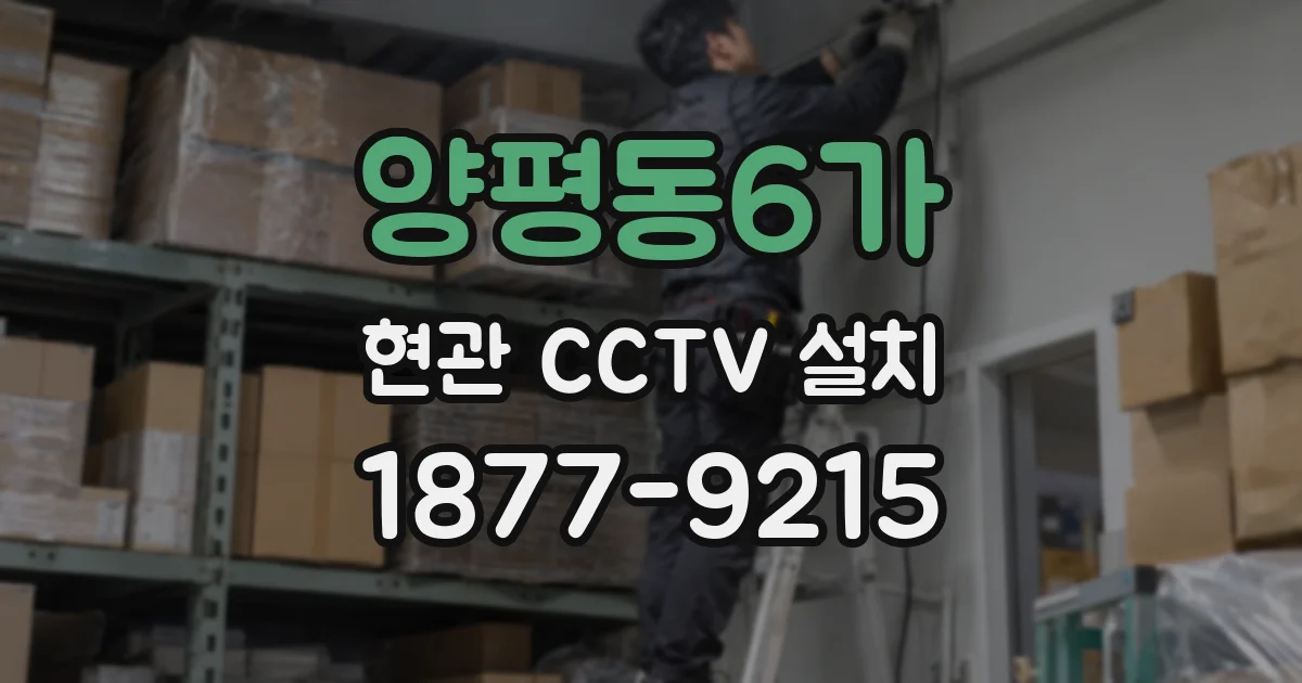 양평동6가 현관 CCTV 설치