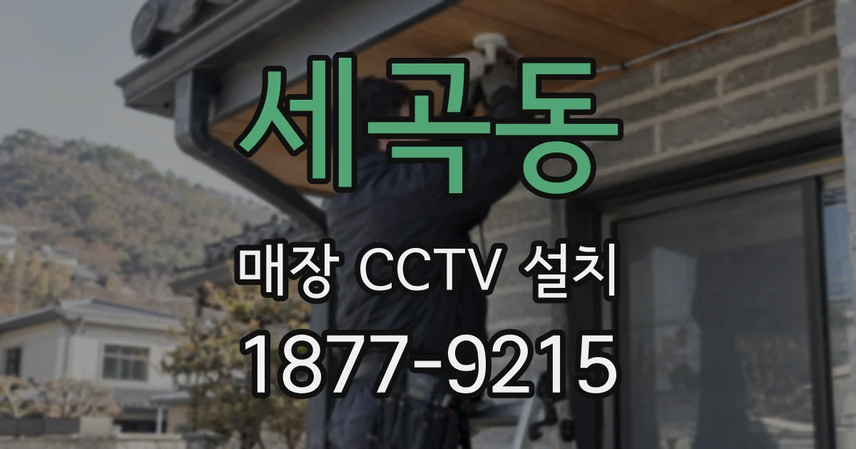 세곡동 매장 CCTV 설치