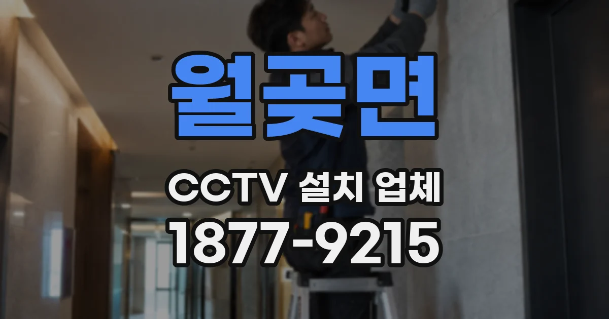 월곶면 CCTV 설치 업체