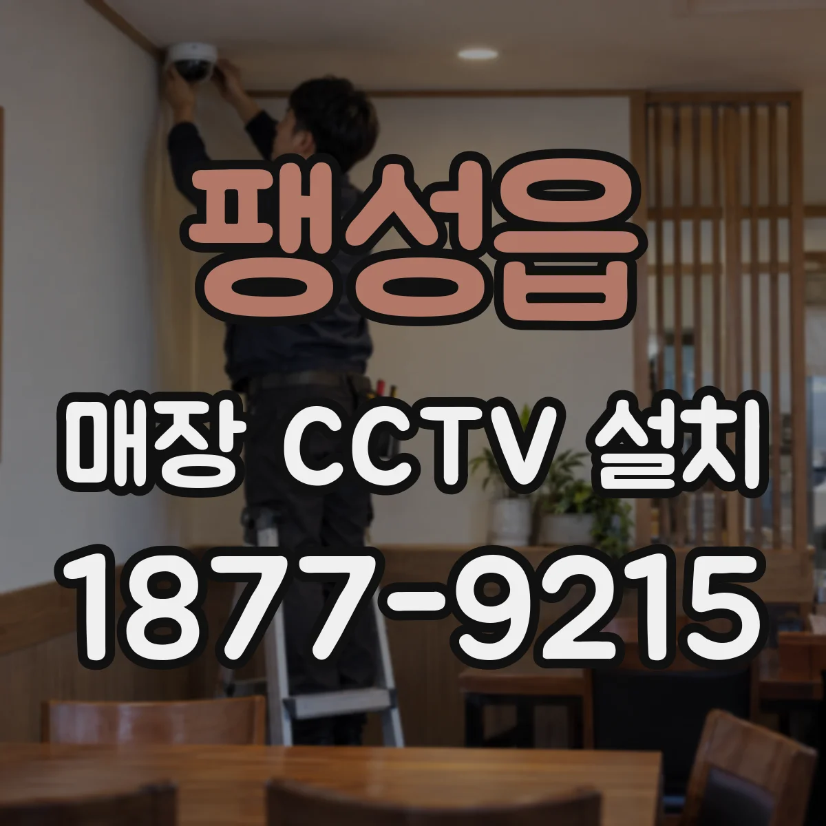 팽성읍 매장 CCTV 설치