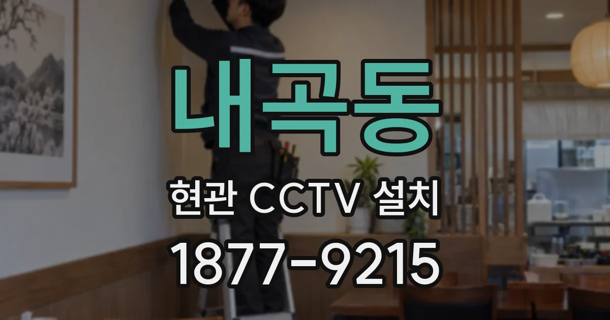 내곡동 현관 CCTV 설치