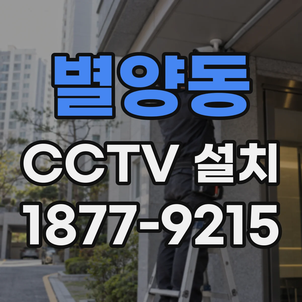 별양동 CCTV 설치