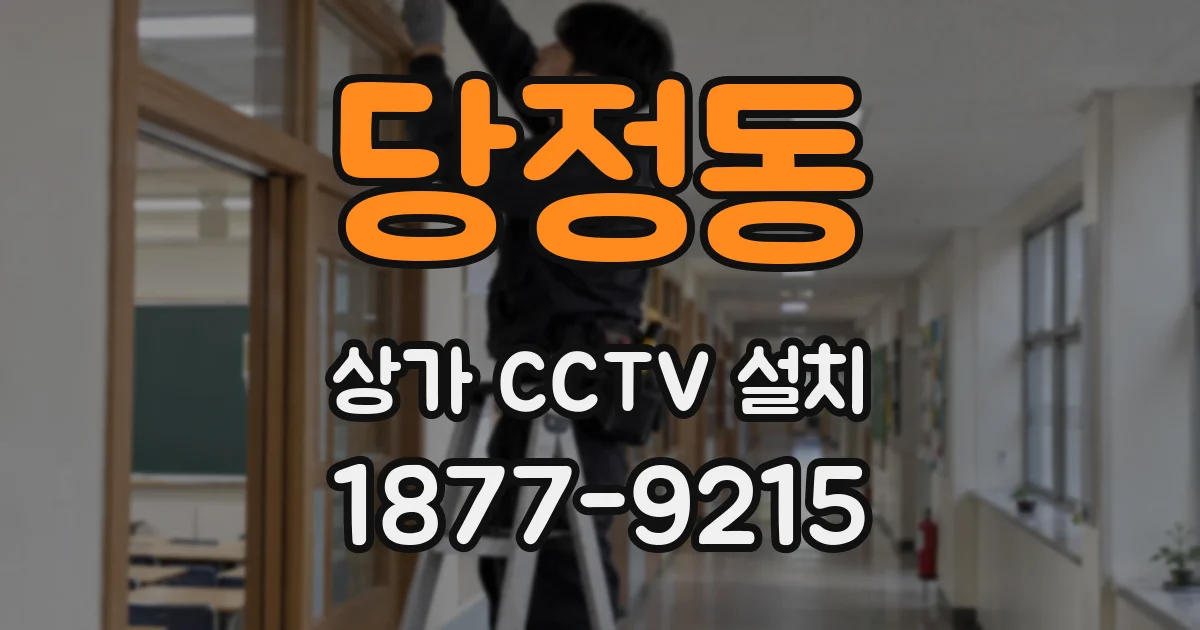 당정동 상가 CCTV 설치
