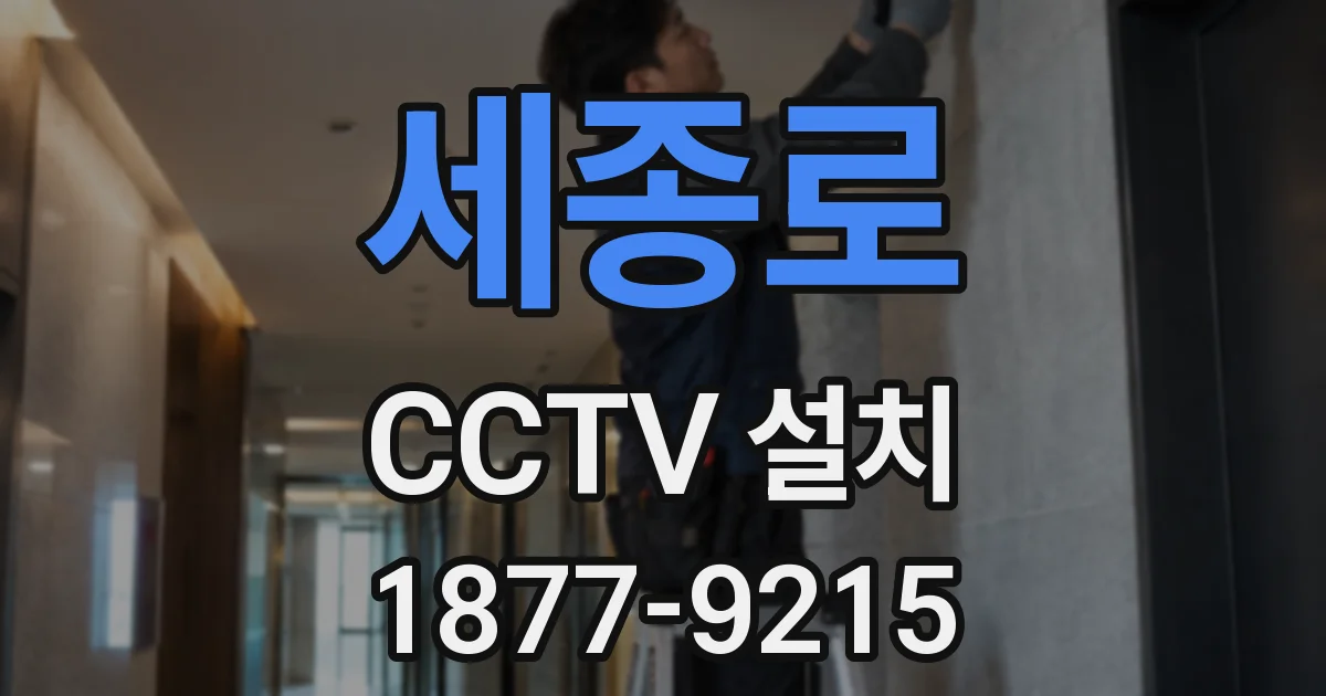 세종로 CCTV 설치