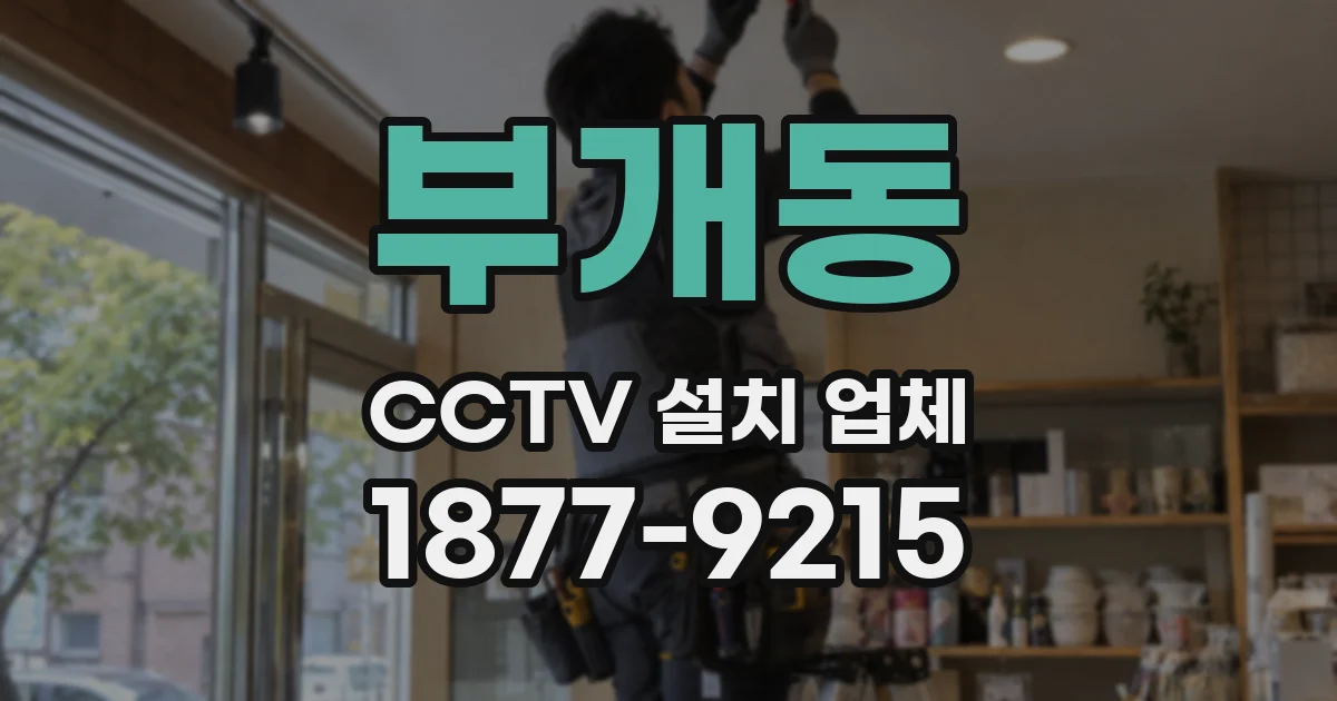 부개동 CCTV 설치 업체