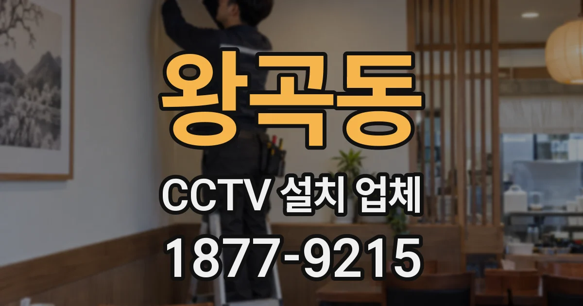 왕곡동 CCTV 설치 업체