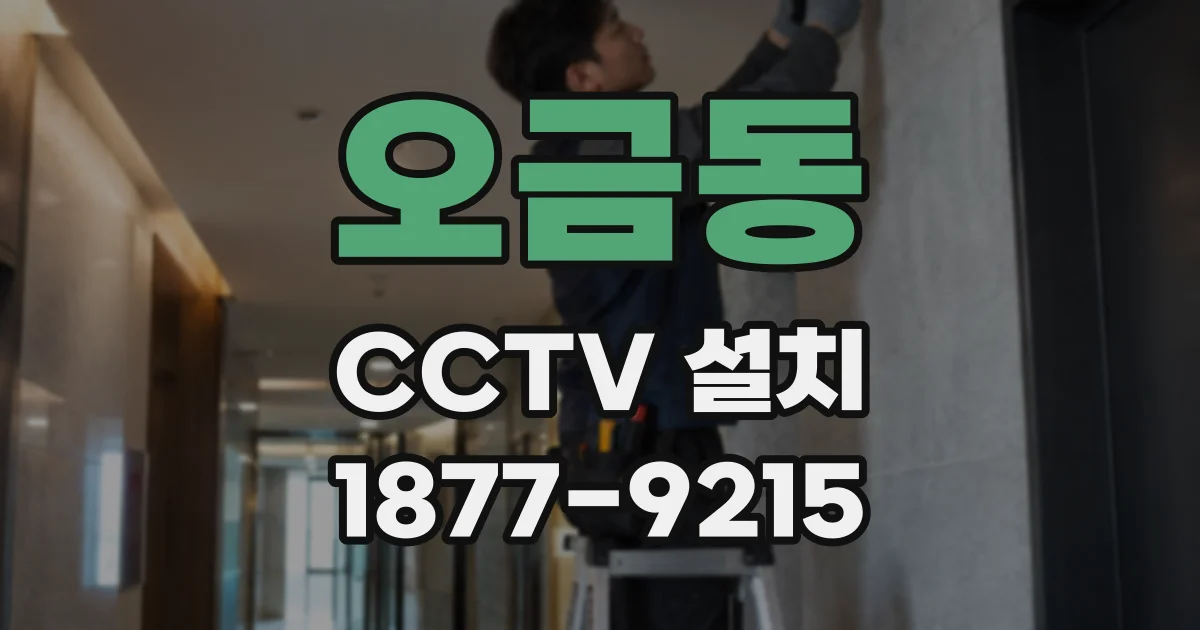 오금동 CCTV 설치