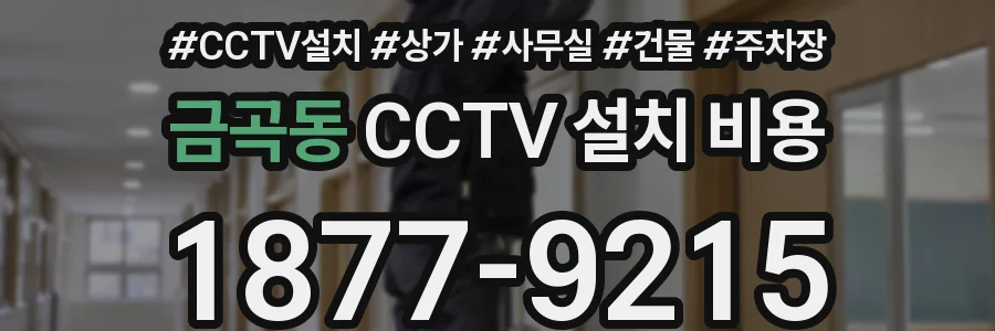금곡동 CCTV 설치 비용