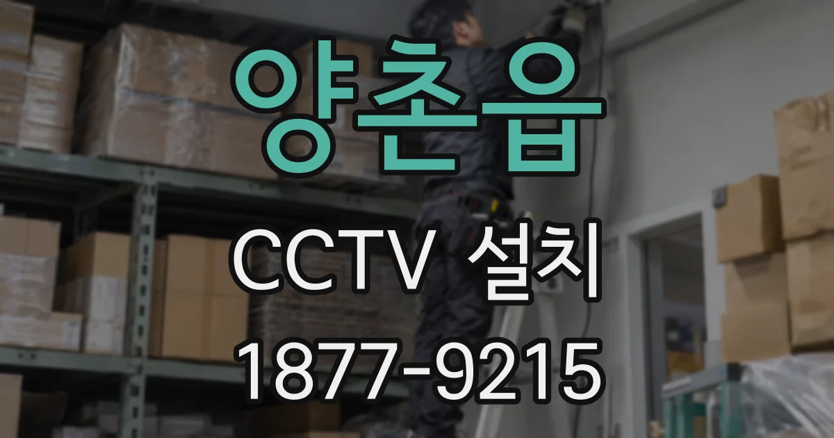 양촌읍 CCTV 설치