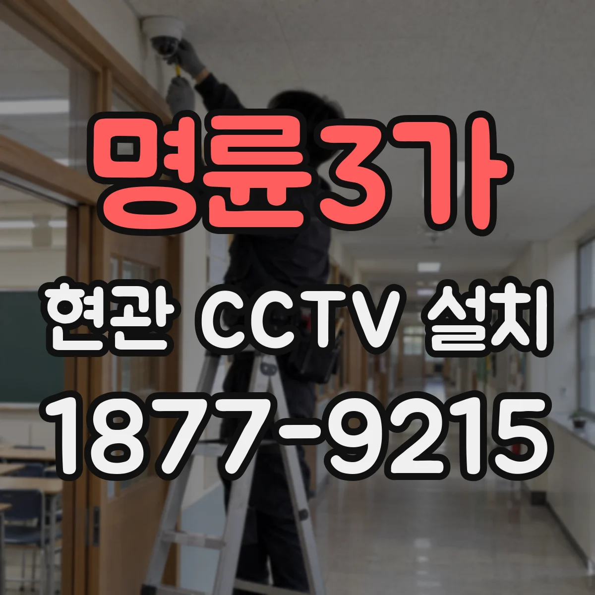 명륜3가 현관 CCTV 설치