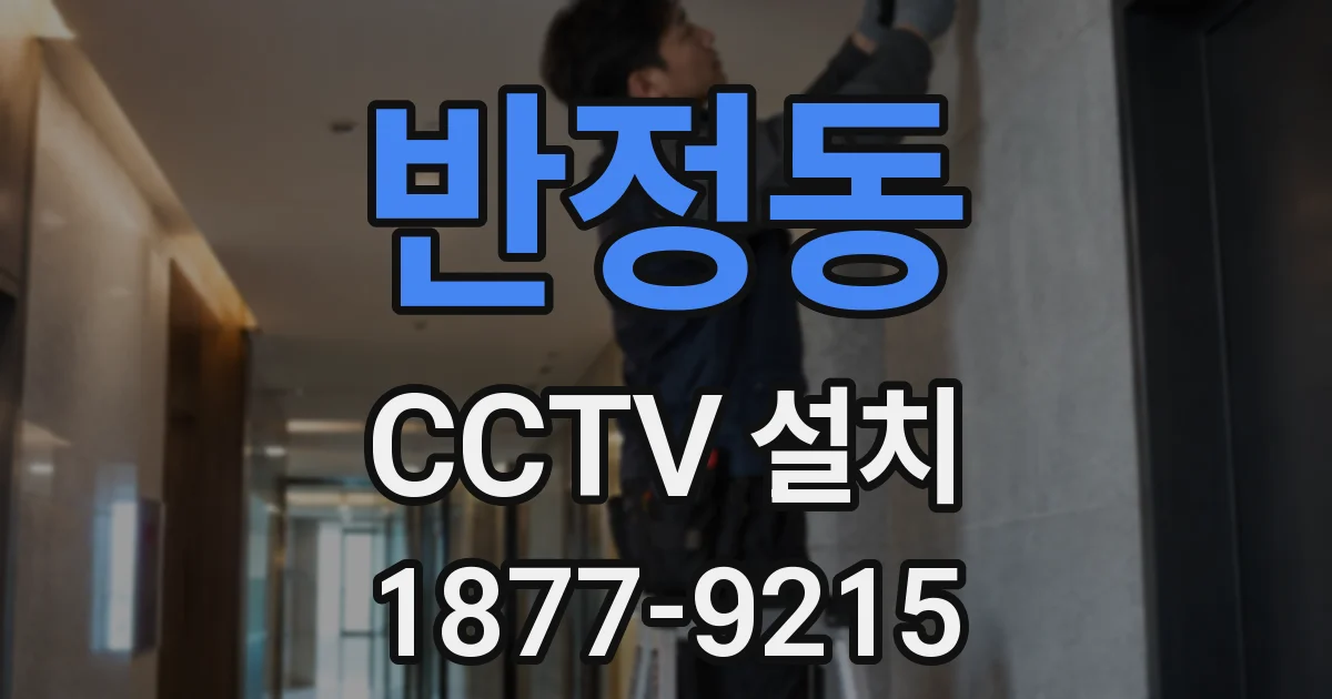 반정동 CCTV 설치