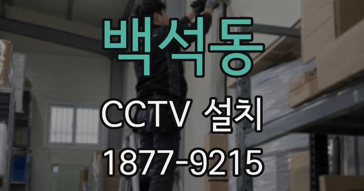 백석동 CCTV 설치