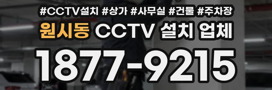 원시동 CCTV 설치 업체