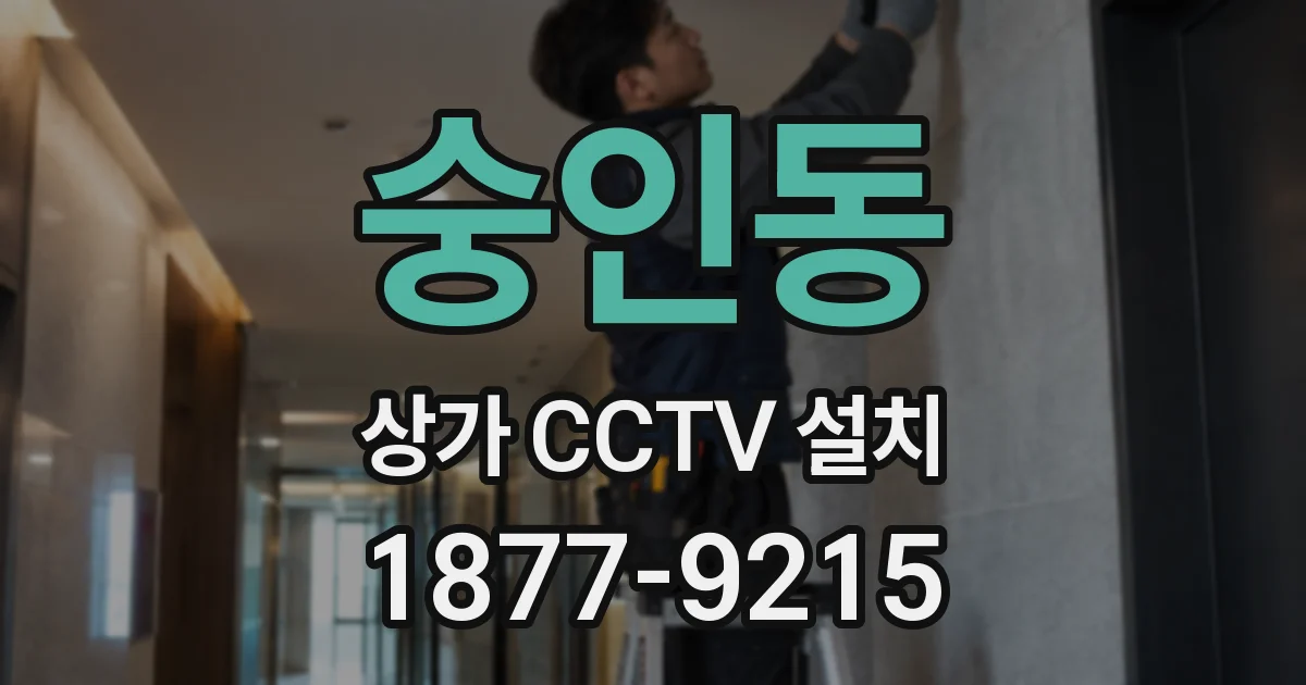 숭인동 상가 CCTV 설치