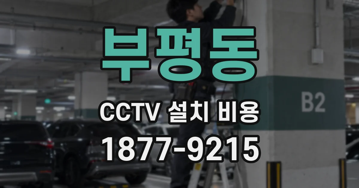 부평동 CCTV 설치 비용