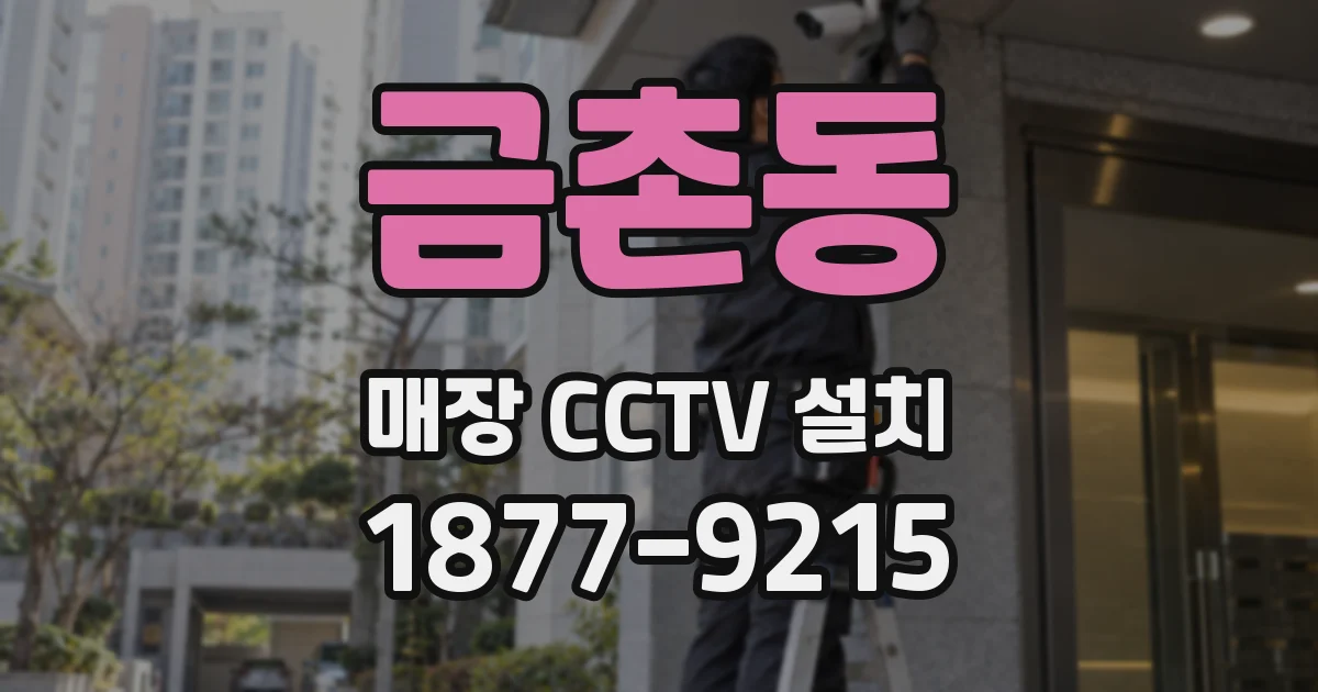 금촌동 매장 CCTV 설치