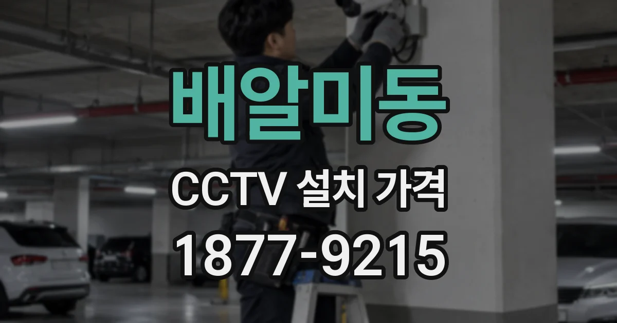 배알미동 CCTV 설치 가격
