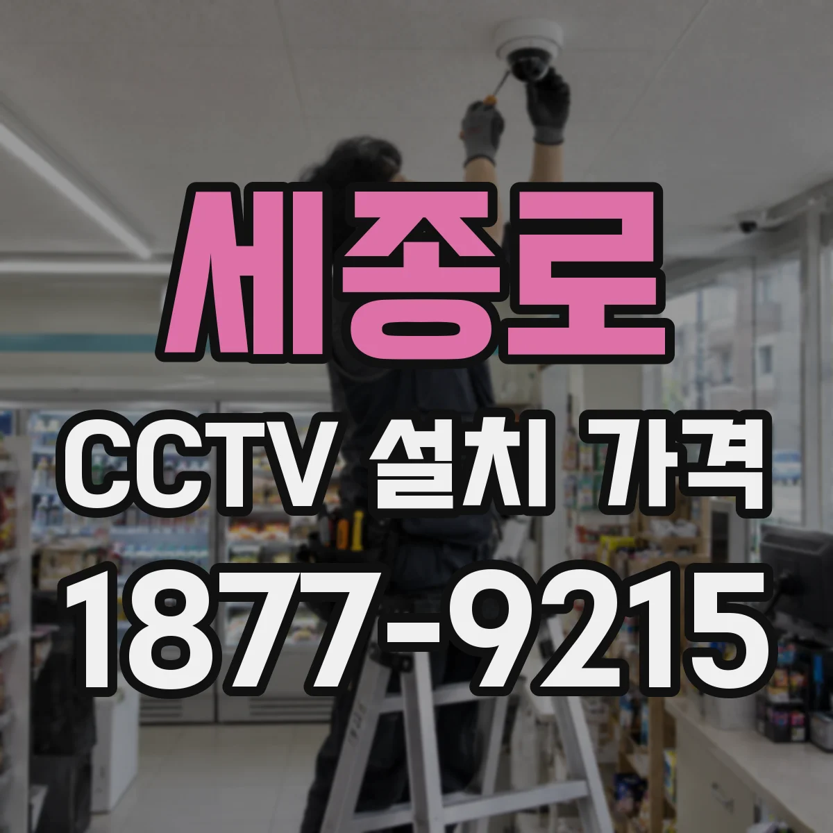 세종로 CCTV 설치 가격