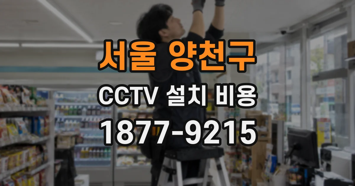 서울 양천구 CCTV 설치 비용