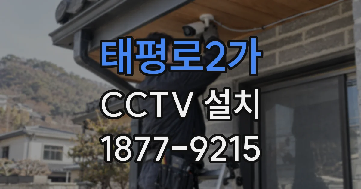 태평로2가 CCTV 설치