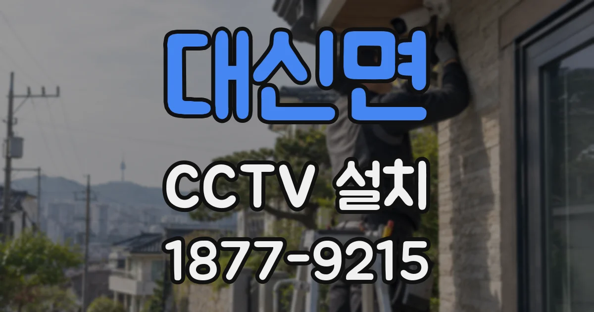 대신면 CCTV 설치