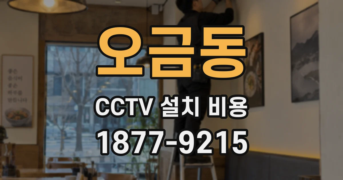 오금동 CCTV 설치 비용