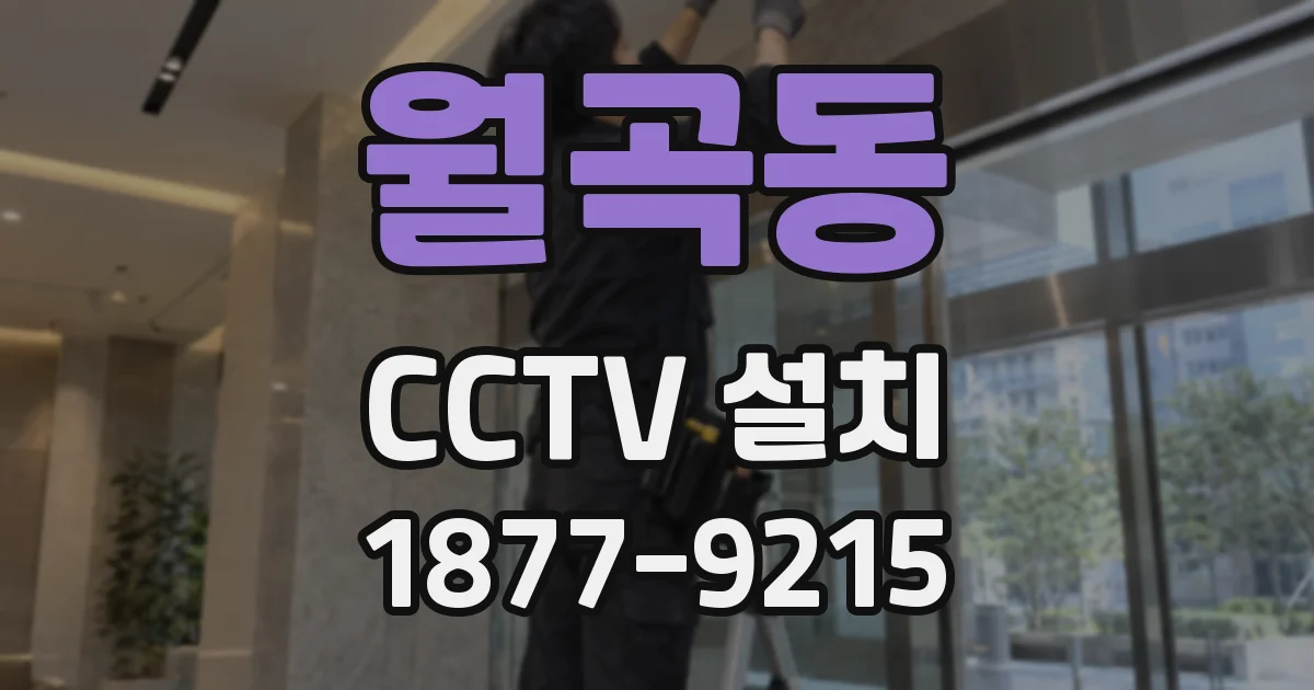 월곡동 CCTV 설치