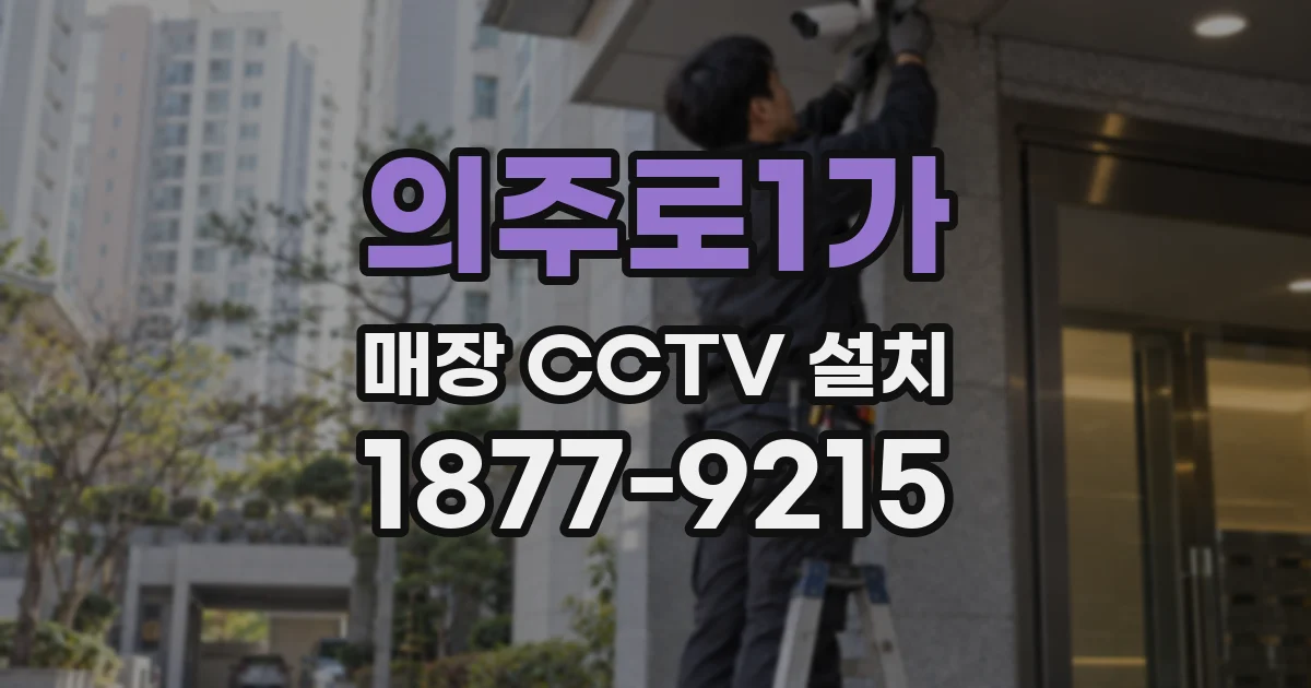 의주로1가 매장 CCTV 설치