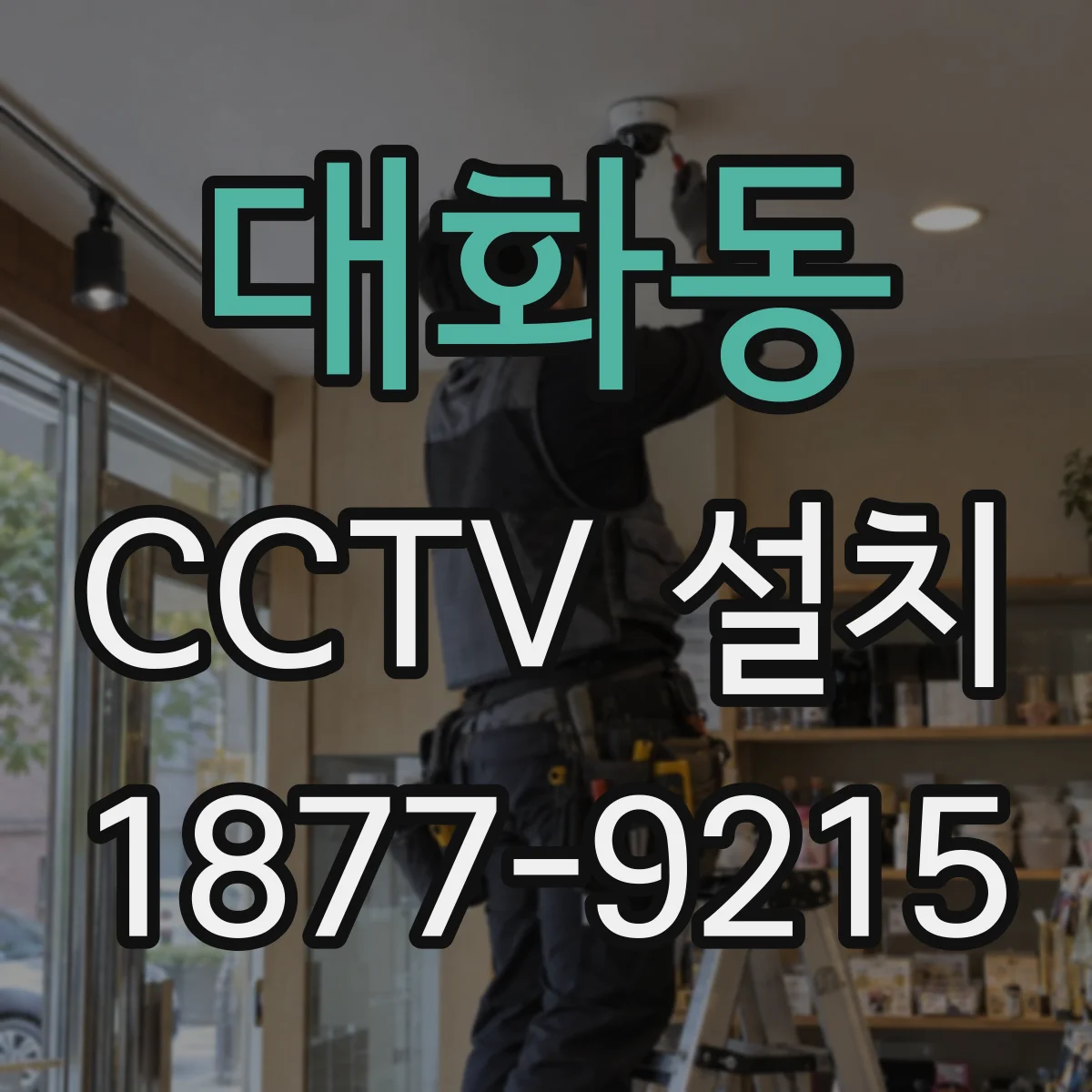 대화동 CCTV 설치