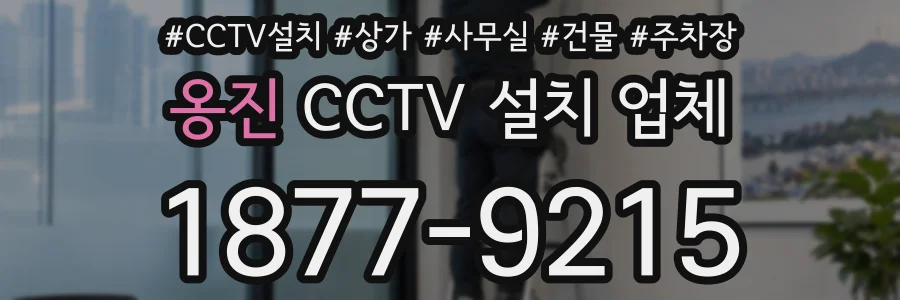 옹진 CCTV 설치 업체