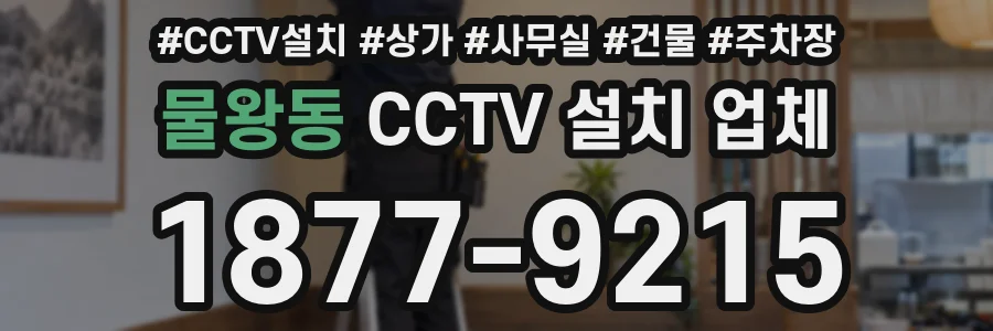 물왕동 CCTV 설치 업체