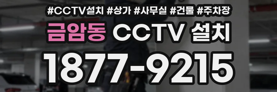 금암동 CCTV 설치
