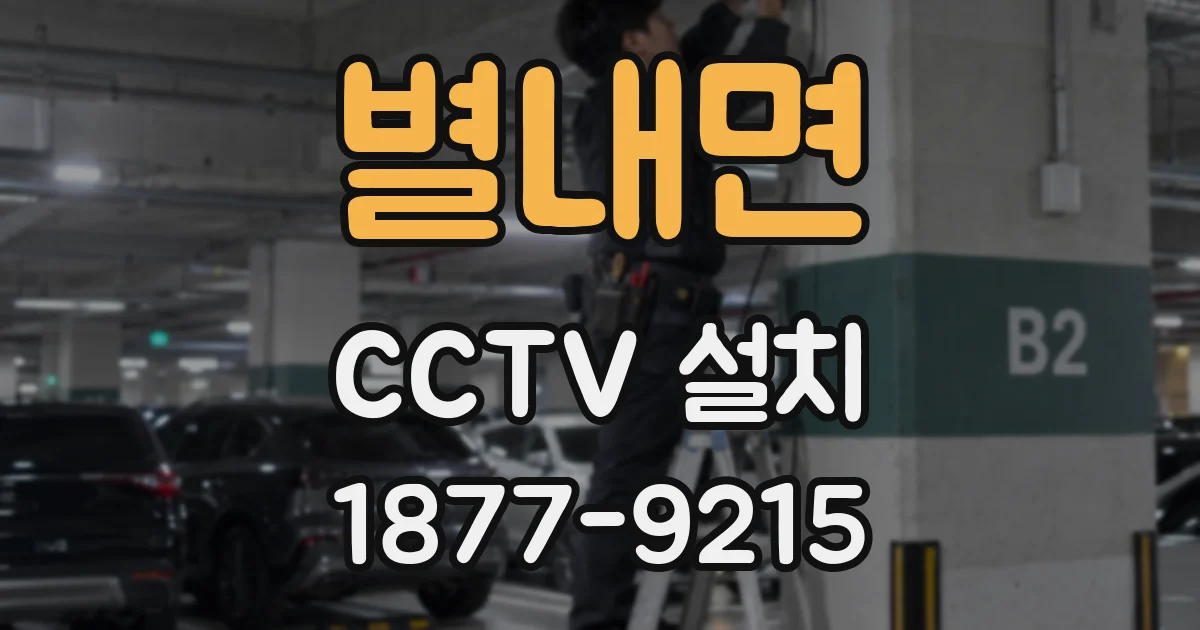 별내면 CCTV 설치