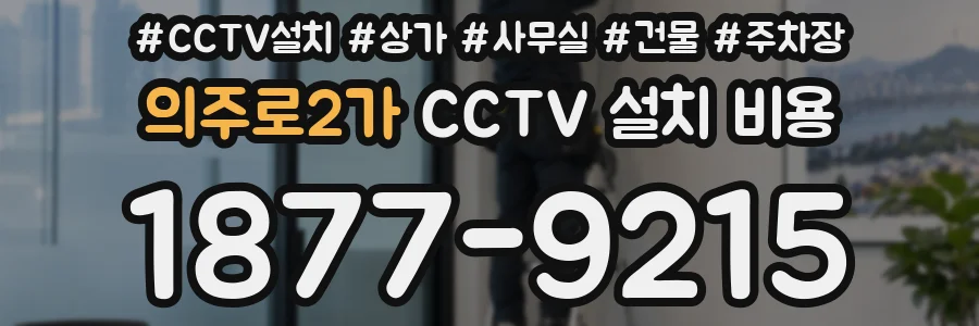 의주로2가 CCTV 설치 비용