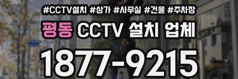 평동 CCTV 설치 업체