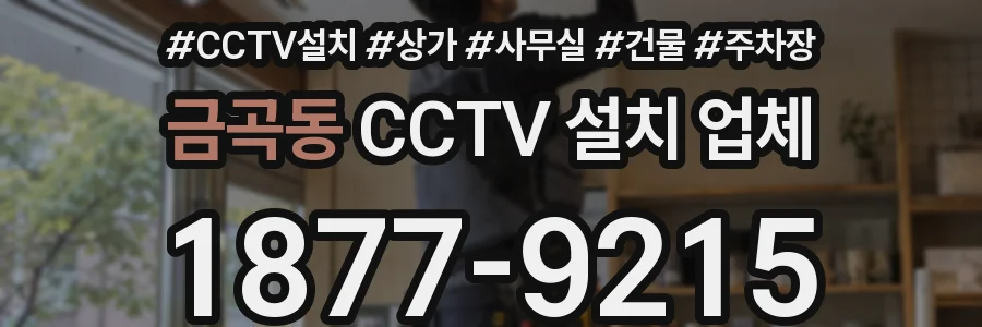 금곡동 CCTV 설치 업체