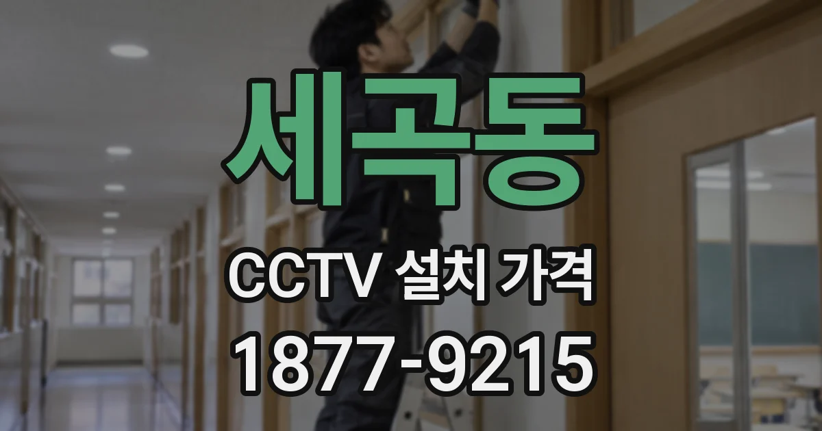 세곡동 CCTV 설치 가격