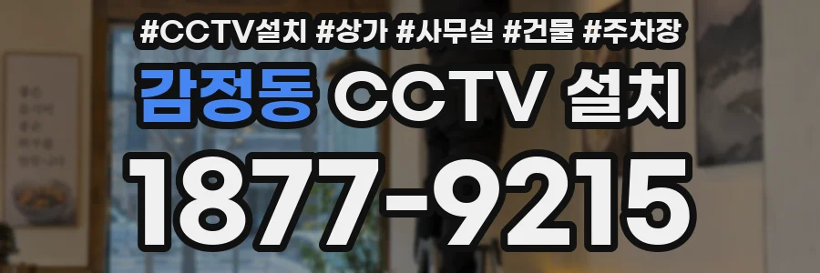 감정동 CCTV 설치