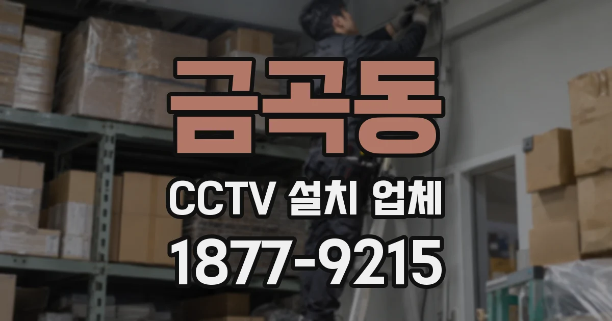 금곡동 CCTV 설치 업체